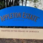 Appleton Estate Rum Tasting and YS Falls - Value and Practical Tips