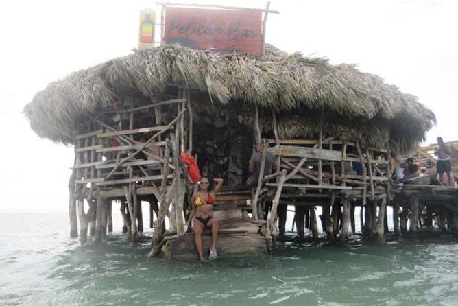 Appleton Estate Rum, YS Falls, Black River Safari / Floyd's Pelican Bar Tour - Final Thoughts