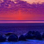 Aral Sea Tour from Nukus 1 night / 2 days - What to Expect on the Two-Day Aral Sea Tour