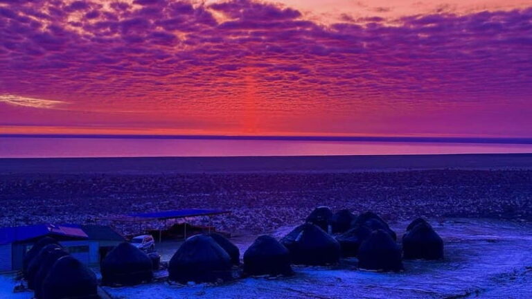 Aral Sea Tour from Nukus 1 night / 2 days - What to Expect on the Two-Day Aral Sea Tour