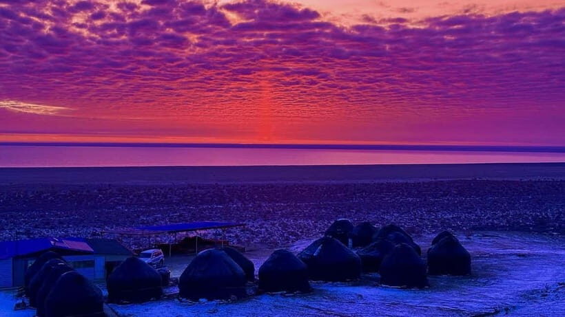 Aral Sea Tour from Nukus 1 night / 2 days - What to Expect on the Two-Day Aral Sea Tour  