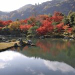 Arashiyama/Tenryu-ji Temple Guided Tour - Who Should Consider This Tour?