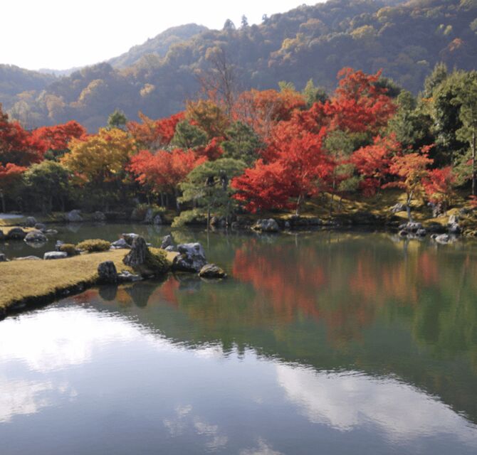 Arashiyama/Tenryu-ji Temple Guided Tour - Who Should Consider This Tour?