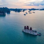 Arcady Boutique Cruise Halong Bay  2D1N Tour from Hanoi - Check-In and Welcome at Tuan Chau Port