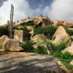 Aruba Shore Excursion: The Highlights and Delights Tour - FAQ