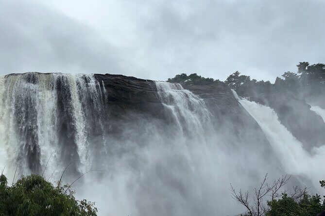 Athirappilly Waterfalls Day Trip from Kochi with Transfers - Exploring the Itinerary in Detail