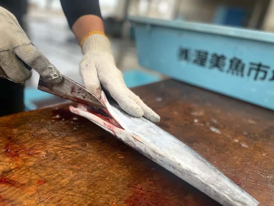 Atsumi Fish Market Live Action Exoerience - Practical Details: What You Need to Know