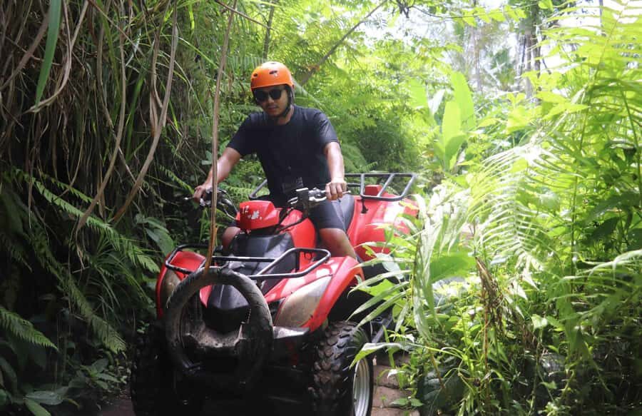 ATV Adventure & Scenic Cycling Tour in Bali - The Itinerary: From Pickup to Post-Lunch Relaxation  