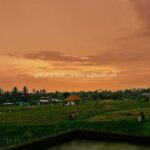 ATV Adventure with Waterfall, Tunnel, and River Ride - The Sum Up