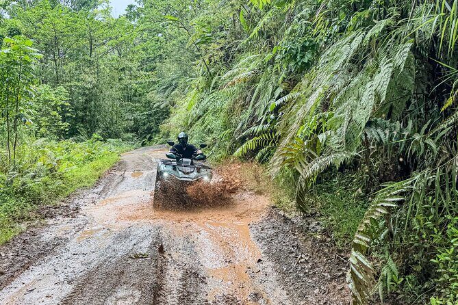 ATV Quad Bike Adventure  Village Visit & Kava (Coral Coast Fiji) - Why This Tour Matters: The Authentic Benefits  