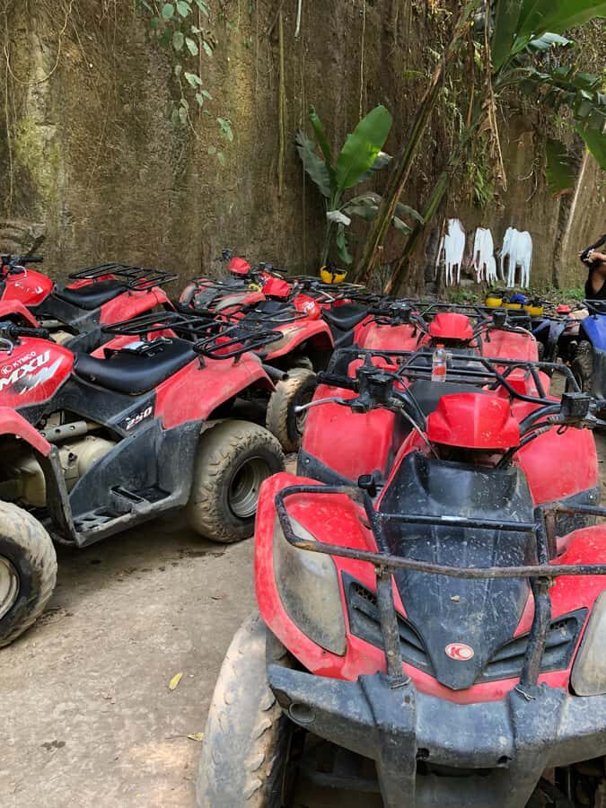 ATV Quad,biking adventure ubud - Who Will Love This Tour?
