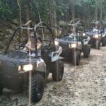ATV Safari and Catamaran Cruise Experience - Who Will Love This Tour?