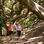 Auckland City and West Coast Luxury Tour - Who Would Love This Tour?