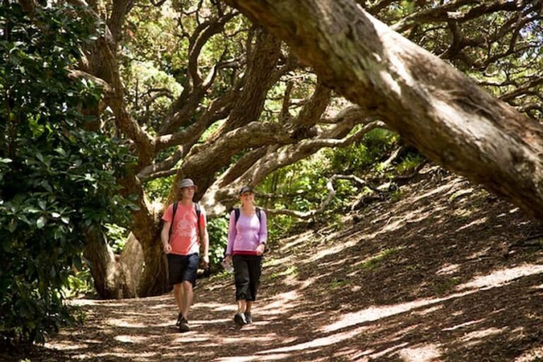 Auckland City and West Coast Luxury Tour - Who Would Love This Tour?  