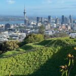AUCKLAND CITY Full Day Tour with War Memorial Museum and Mt Eden - Who is This Tour Best For?