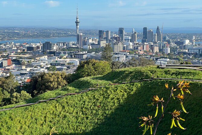AUCKLAND CITY Full Day Tour with War Memorial Museum and Mt Eden - Who is This Tour Best For?