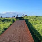 Auckland City Highlights and Hidden Gems Half Day Tour - The Value of the Tour