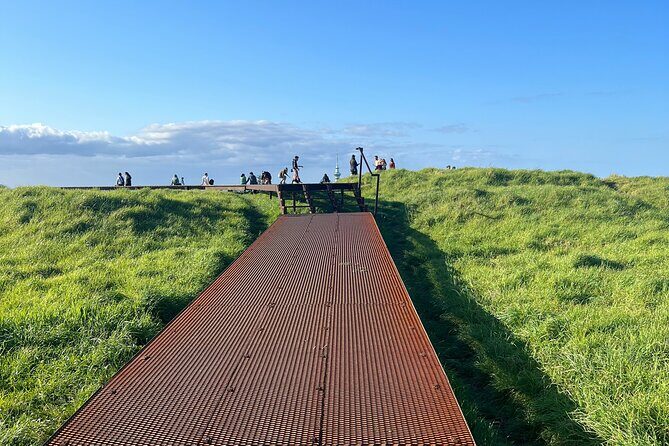 Auckland City Highlights and Hidden Gems Half Day Tour - The Value of the Tour