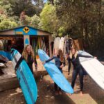 Auckland: Group Surfing Lesson with Muriwai Surf School - The Itinerary Breakdown