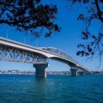 Auckland Museum and Highlight Sightseeing Tour - The Role of the Guide