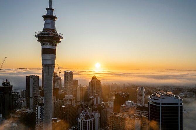 Auckland Private Full Day Attractions Tour & Museums - What the Tour Includes and Excludes