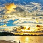 Auckland: Private Sightseeing Full or Half Day Guided Tour - In-Depth Look at the Itinerary