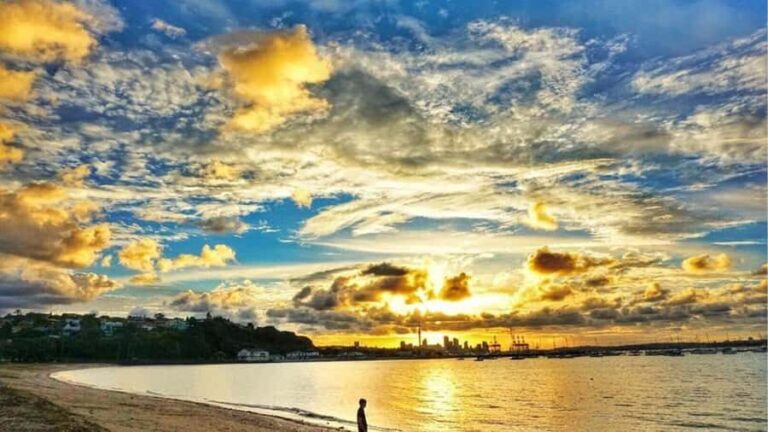 Auckland: Private Sightseeing Full or Half Day Guided Tour - In-Depth Look at the Itinerary