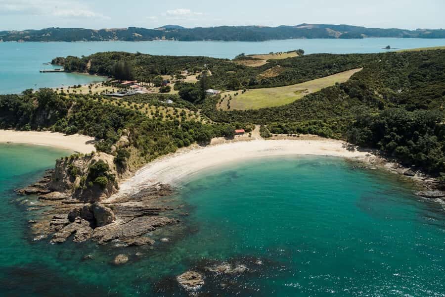 Auckland: Rotoroa Island and Man O'War Vineyard Combo Tour - Waiheke Island and Man O’ War Vineyard
