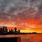 Auckland Sunset Harbour Cruise - What to Expect on the Auckland Sunset Harbour Cruise