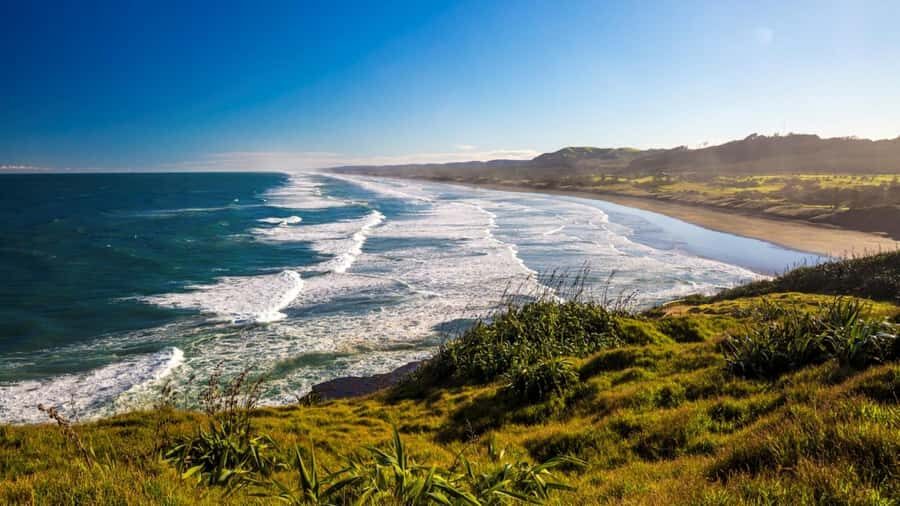 Auckland: West Coast Discovery - Discovering Piha Beach: The West Coast’s Icon