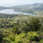 Auckland West Coast Half-Day Private Tour - Evaluating the Value