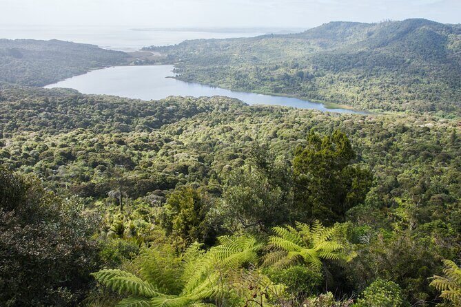 Auckland West Coast Half-Day Private Tour - Evaluating the Value