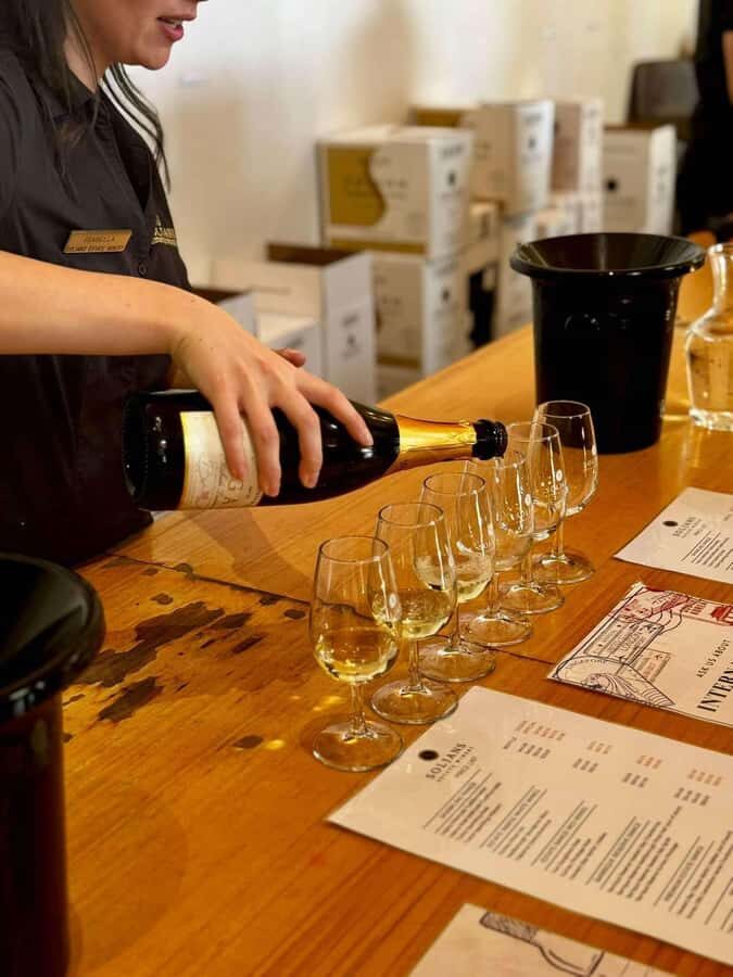 Auckland: Wine region tour with tastings and gourmet lunch - The Value of Small-Group Tours and Guided Insights
