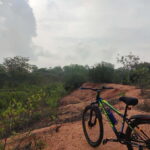Auroville: Nature Trail Forest Cycling Adventure - Value & Practicality