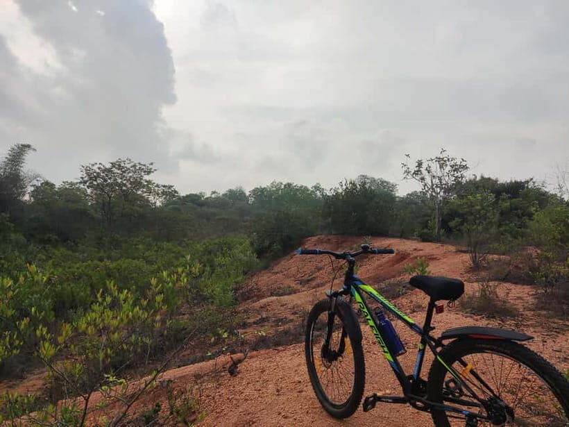 Auroville: Nature Trail Forest Cycling Adventure - Value & Practicality