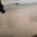 Australia: Coffs Harbour Beach Horse Ride & Lagoon Swim + Photos - An In-Depth Review of the Coffs Harbour Beach Horse Ride & Lagoon Swim