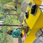 Authentic Jamaican Food Cooking Experience in the Countryside - The Details That Matter