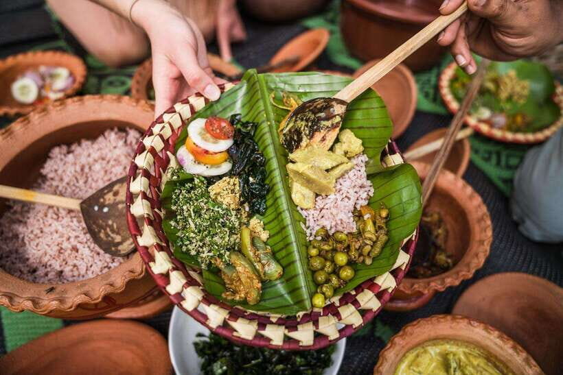 Authentic Lake Fishing & Cooking Experience:from Trincomalee - What to Expect from the Lake Fishing & Cooking Tour