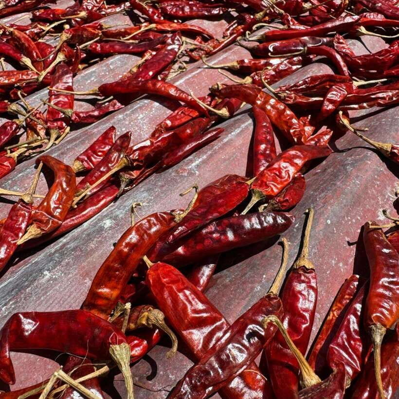 Authentic Sri Lankan Village Experience with Local Family - The Value of the Experience