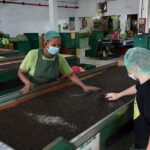 Authentic Sri Lankan Villages Private Guided Tour with Lunch - Considering the Cost