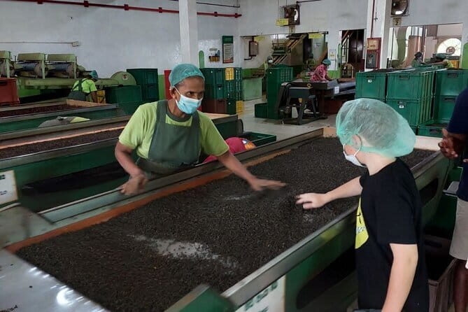 Authentic Sri Lankan Villages Private Guided Tour with Lunch - Considering the Cost