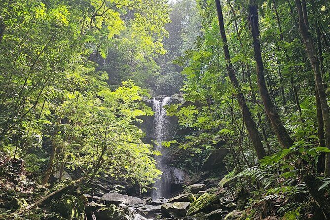 Avocat Waterfall and Maracas Bay, The Way Trinis Do It - What’s Included and What’s Not