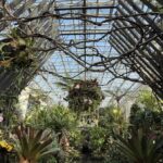 Awaji Island: Awaji Coast Whirlpool Day Trip from Osaka - Transport & Group Experience