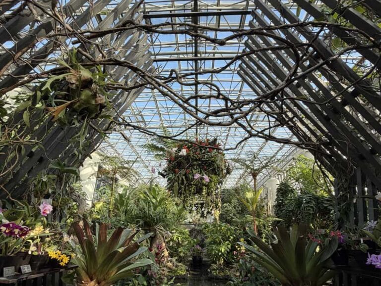 Awaji Island: Awaji Coast Whirlpool Day Trip from Osaka - Transport & Group Experience