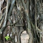 Ayutthayas Hidden Gems: Small Group Tour with Car & Local Guide - Practical Details and Value