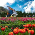 Ba Na Hills & Golden Bridge with Fantasy Park Tour-Optional Lunch - The Value Proposition