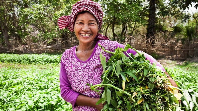 Back to Basics: Siem Reap Village Tour in Cambodia - What to Expect on the Tour