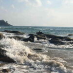 Baga/Calangute: South Goa Full-Day City Sightseeing Tour - What You Will See and Experience