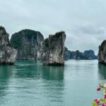 Bai Tu Long Bay 2 Days 1 Night Tour from Hanoi - The Sum Up