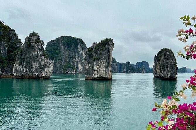 Bai Tu Long Bay 2 Days 1 Night Tour from Hanoi - The Sum Up